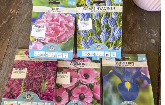 Several seed packets