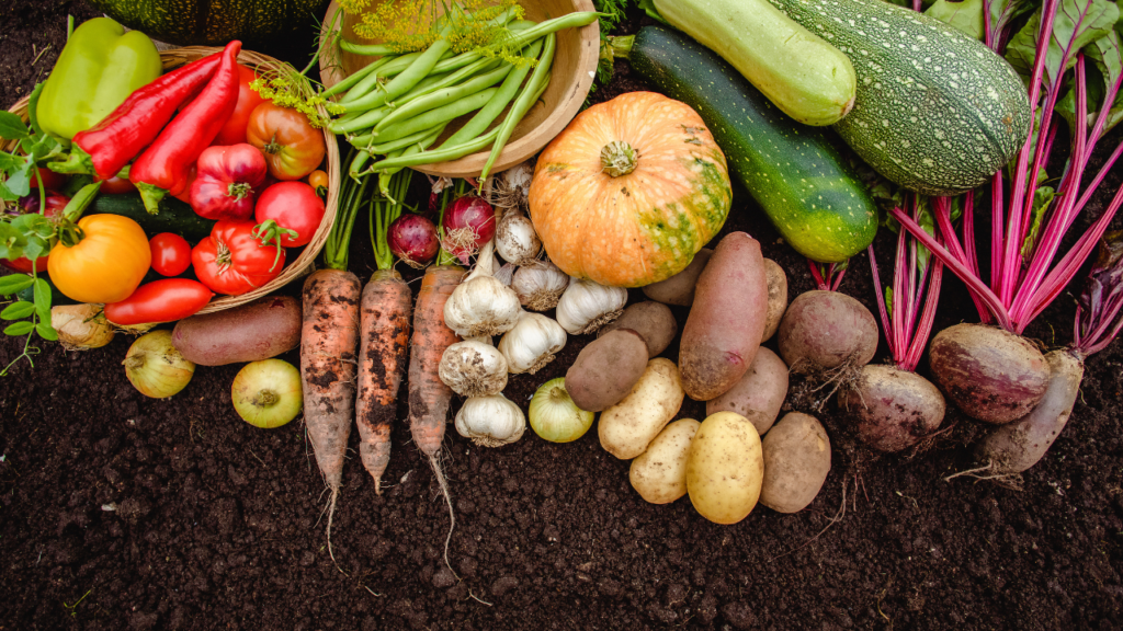 Learn how to harvest a variety of seasonal fruits, vegetables, herbs and native plants all year round by growing with the Sunshine Coast’s subtropical climate.