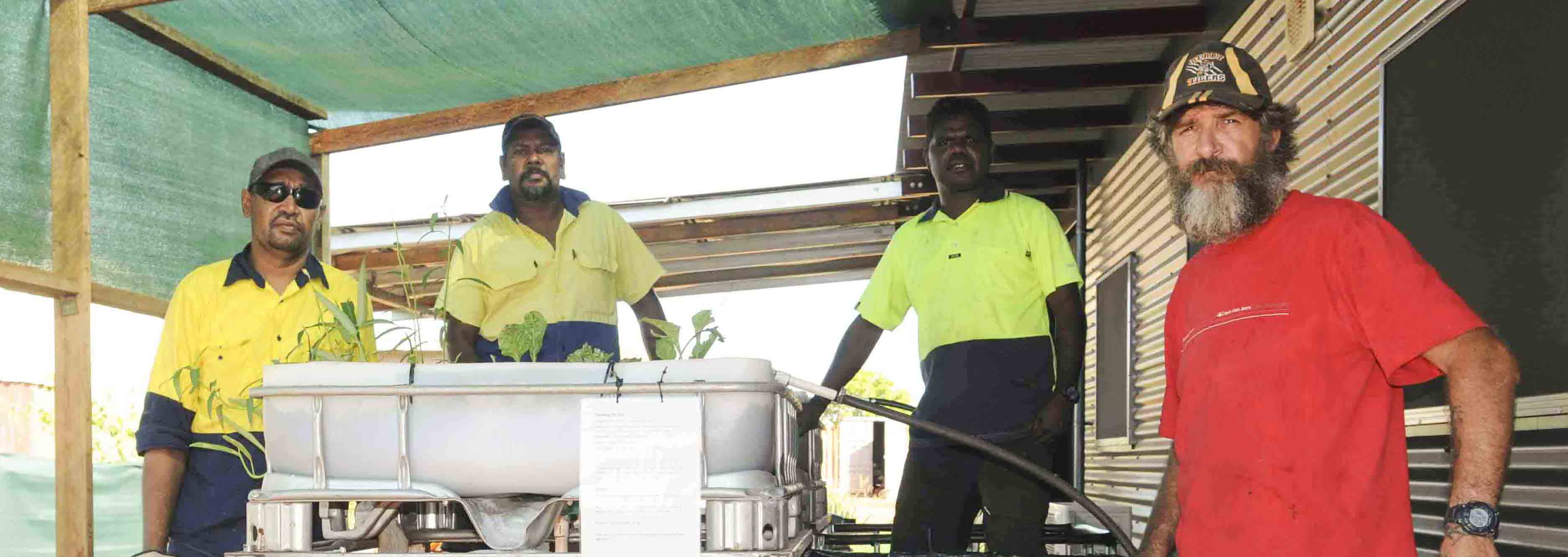 STEPS Education & Training | SEE Aquaponics Derby