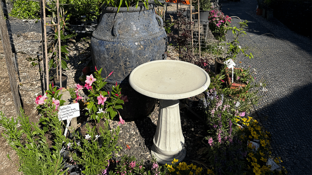 A photo of a bird bath.