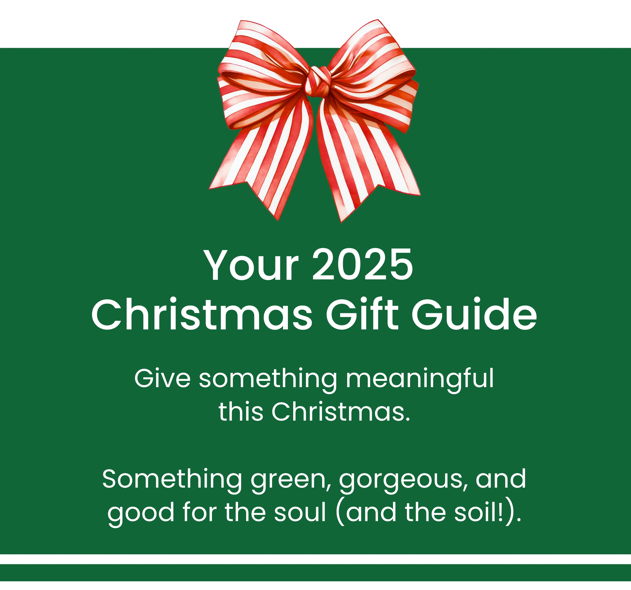 Your Christmas Gift Guide. Give something meaningful this Christmas. Something green, gorgeous, and good for the soul (and soil)./
