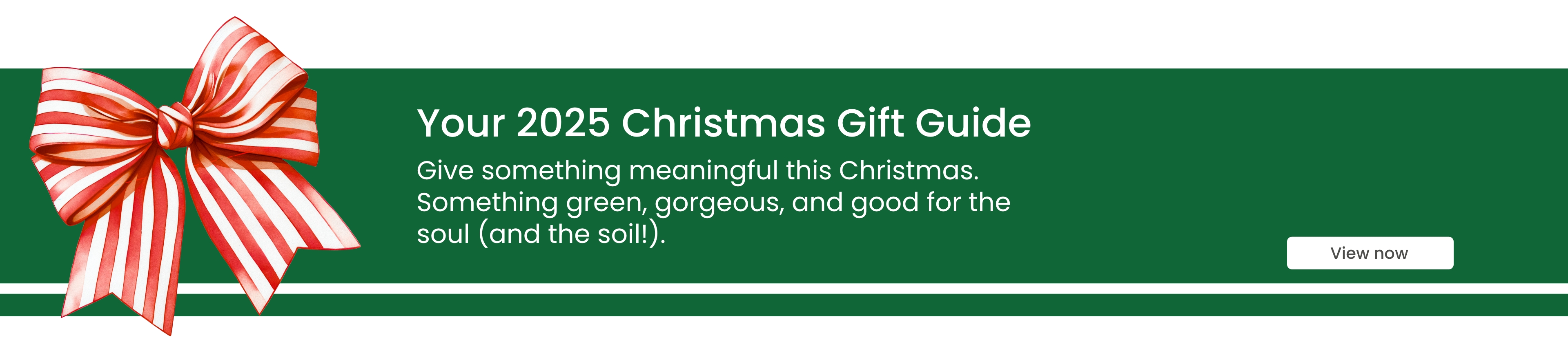 Your Christmas Gift Guide. Give something meaningful this Christmas. Something green, gorgeous, and good for the soul (and soil)./