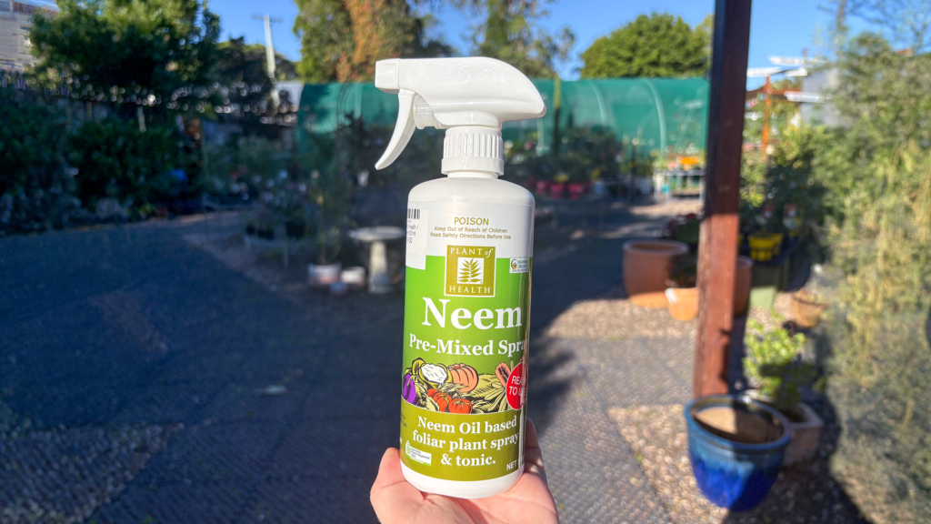 Neem pre mixed plant spray bottle held in a garden centre with plants and outdoor STEPS Garden Centre in background