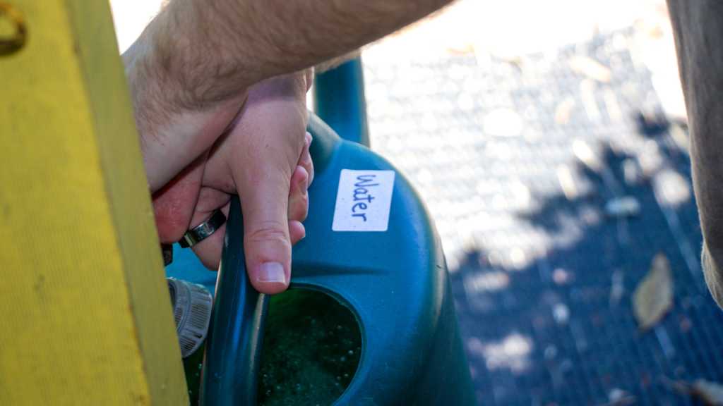 A hand holds the handle of a green watering can labelled “Water” while it is being filled.