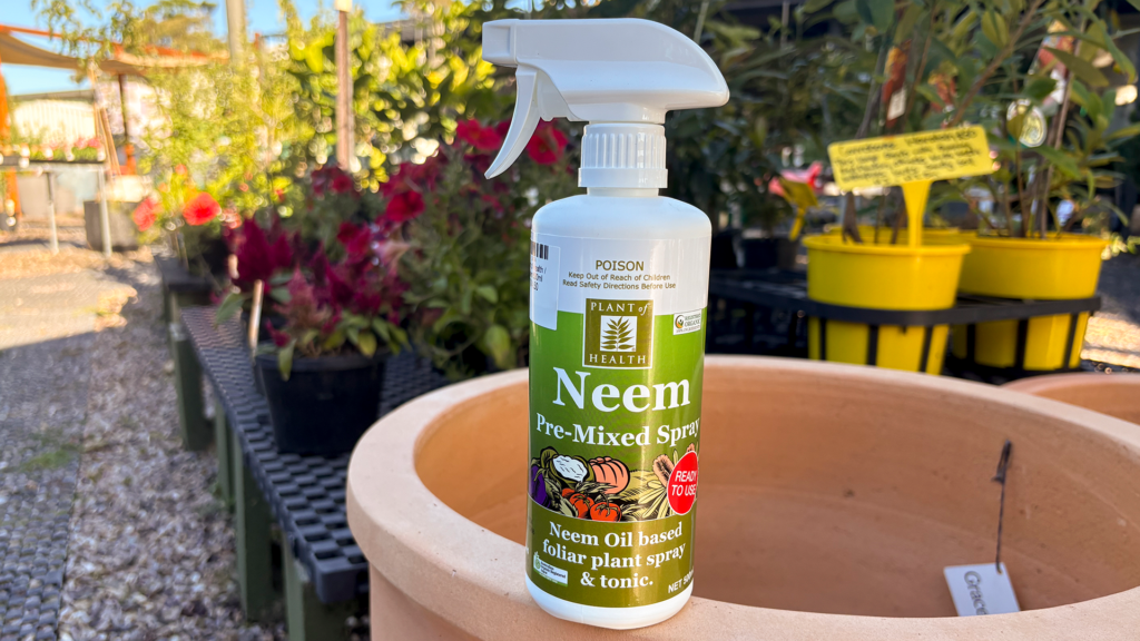 Neem oil pre mixed plant spray bottle placed on a garden pot with flowers and potted plants in the background