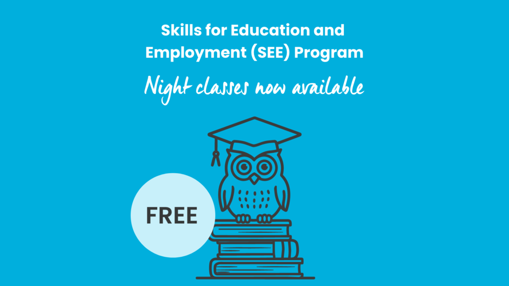 A simple graphic of an owl, wearing a scholar's cap, perched on a stack of books. The background is bright blue. The text reads: Skills for Education and Employment (SEE) Program – night classes now available – FREE.