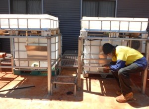 STEPS Education & Training | SEE Aquaponics Derby