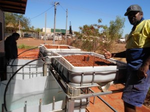 STEPS Education & Training | SEE Aquaponics Derby